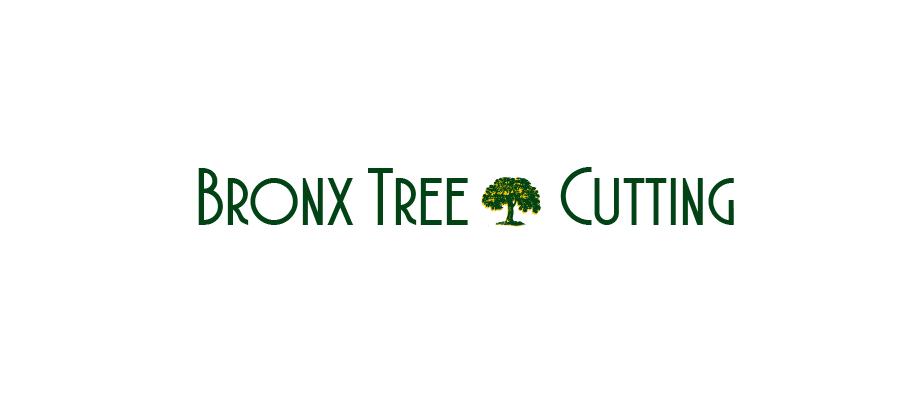 Bronx Tree Cutting Bronx Tree Cutting